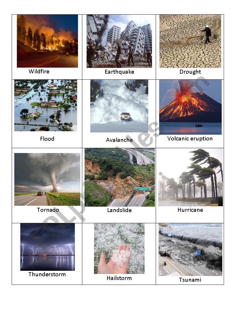 Disasters flashcards worksheet