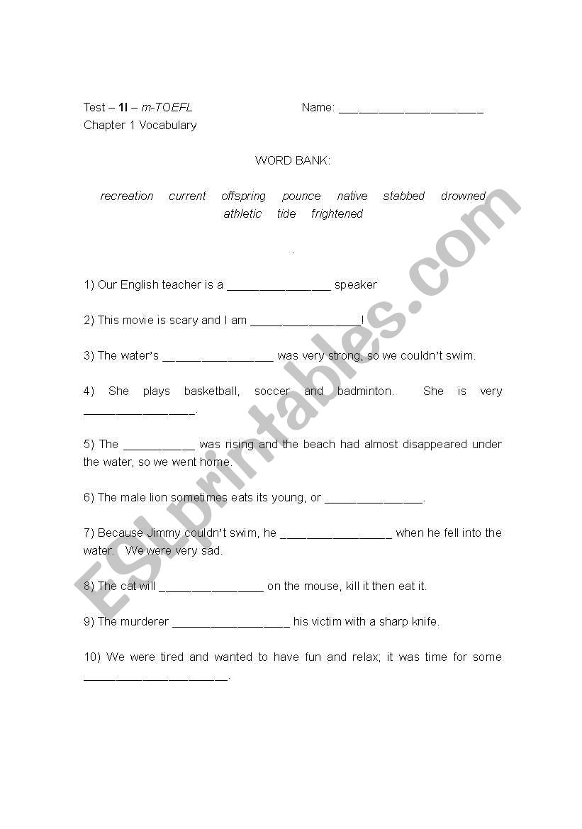 Vocabulary Test worksheet