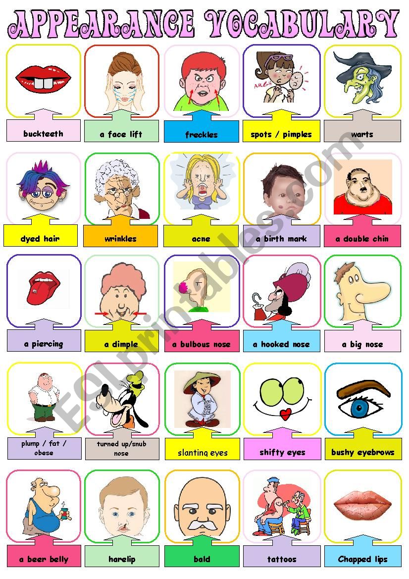 APPEARANCE VOCABULARY worksheet
