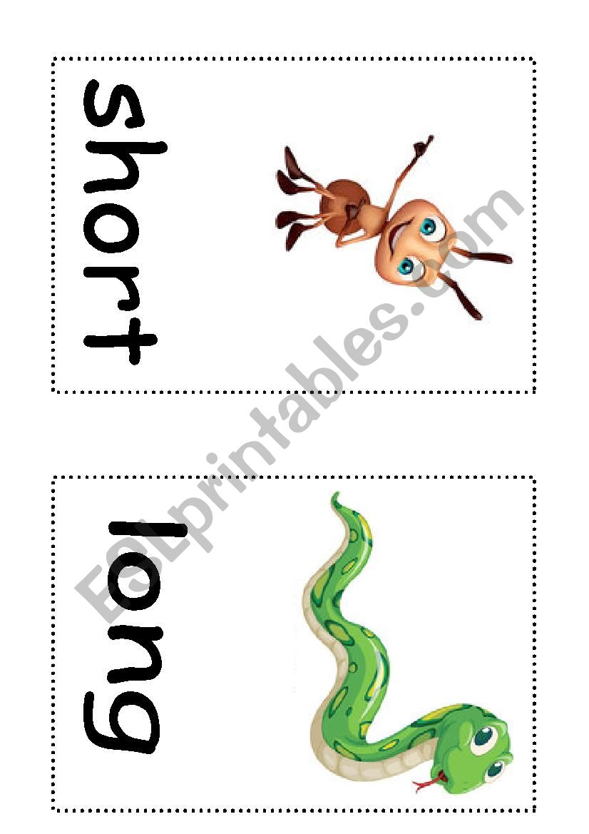 opposites flash cards worksheet