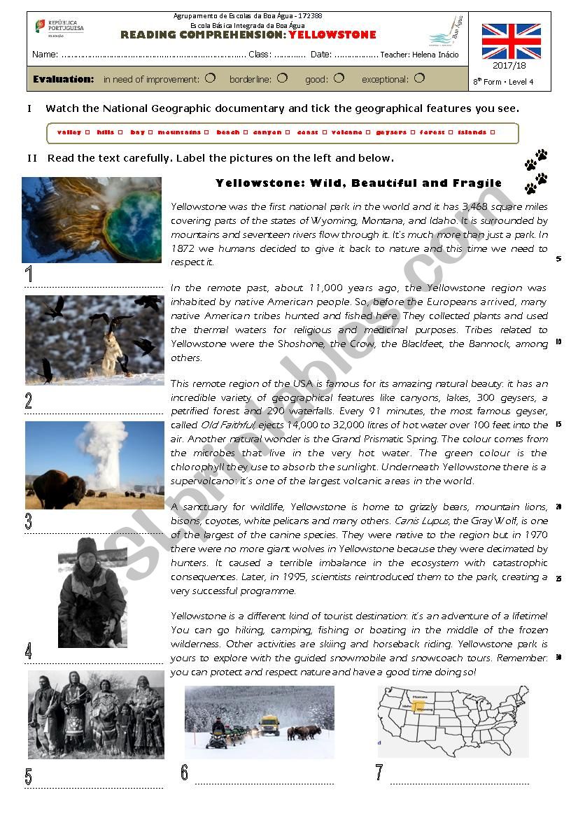 Yellowstone Park worksheet