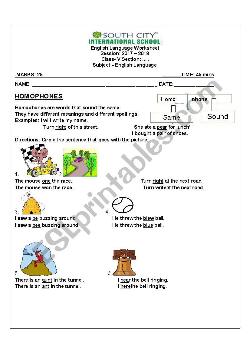 Homophones worksheet