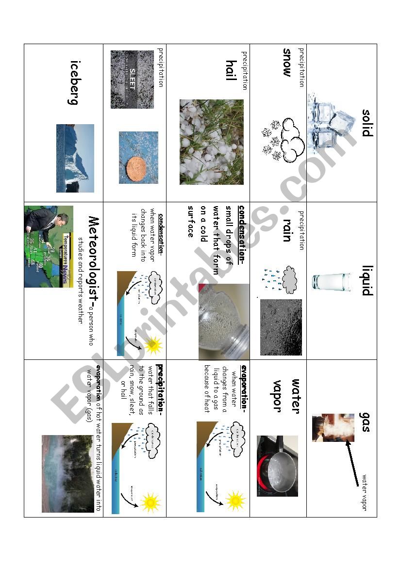 Three States of Water and water cycle words