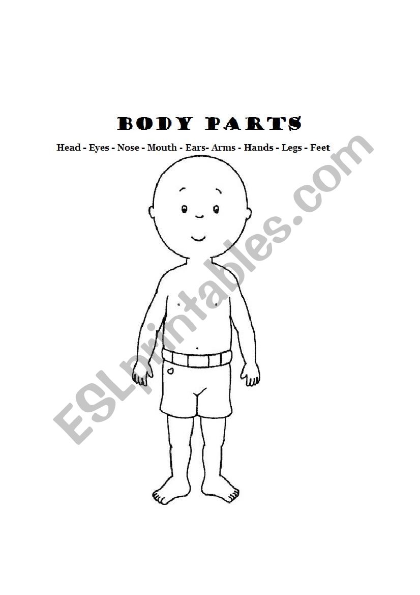 THE BODY PARTS worksheet