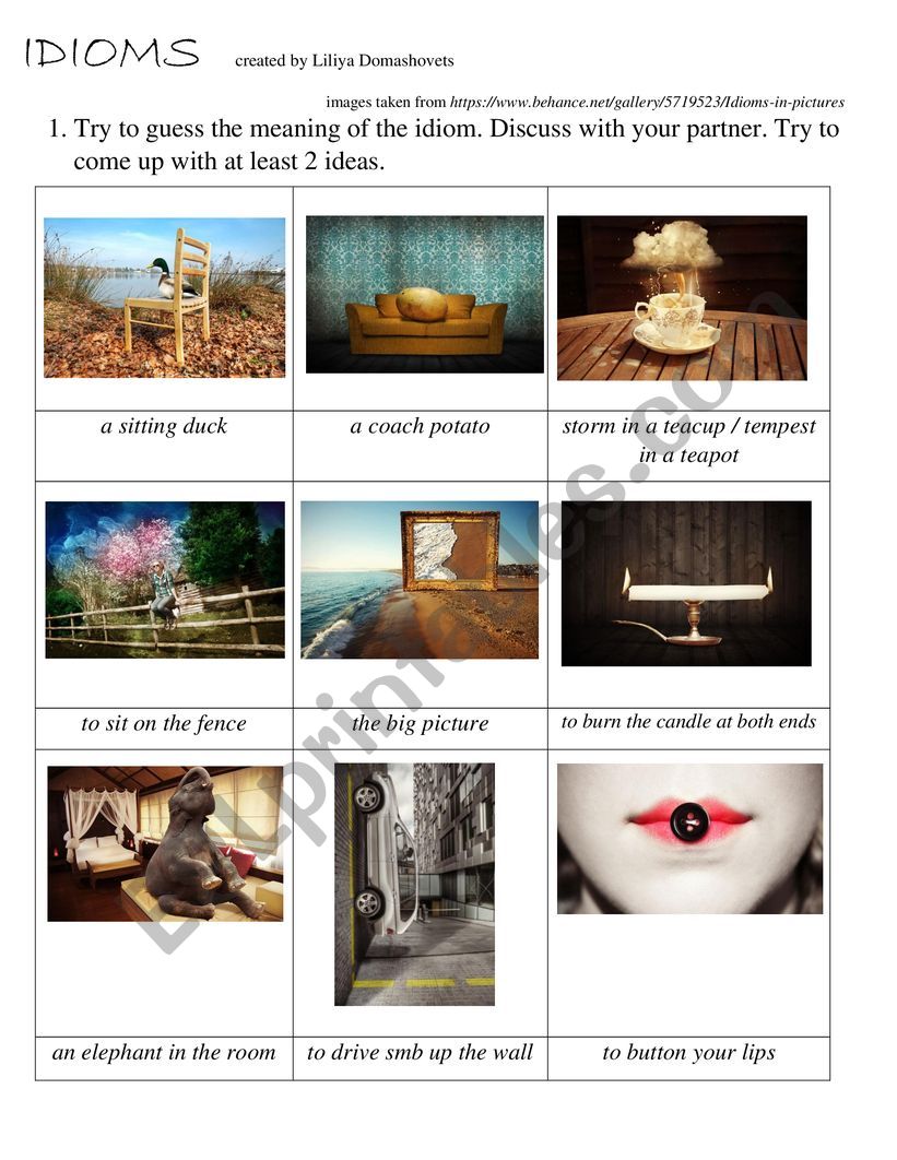 Idioms (guess / match / practice)