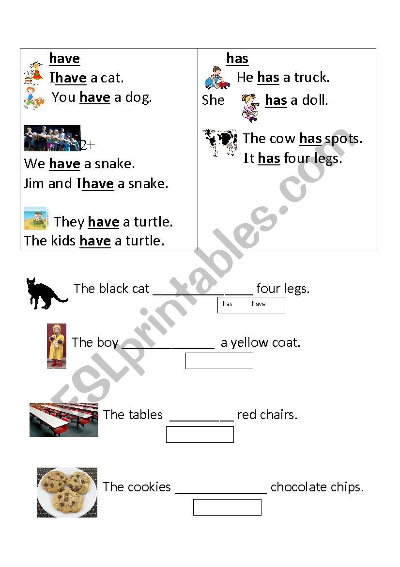 Has or Have worksheet worksheet
