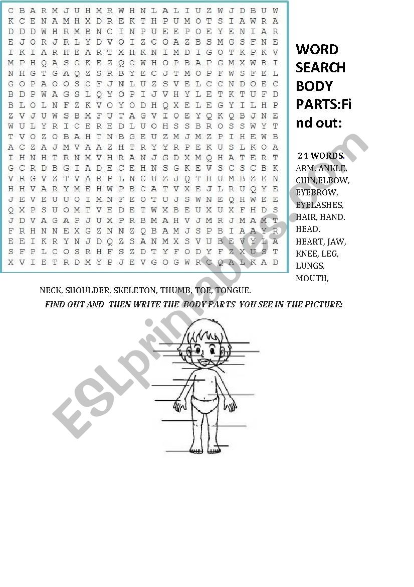 BODY PARTS WORDSEARCH worksheet