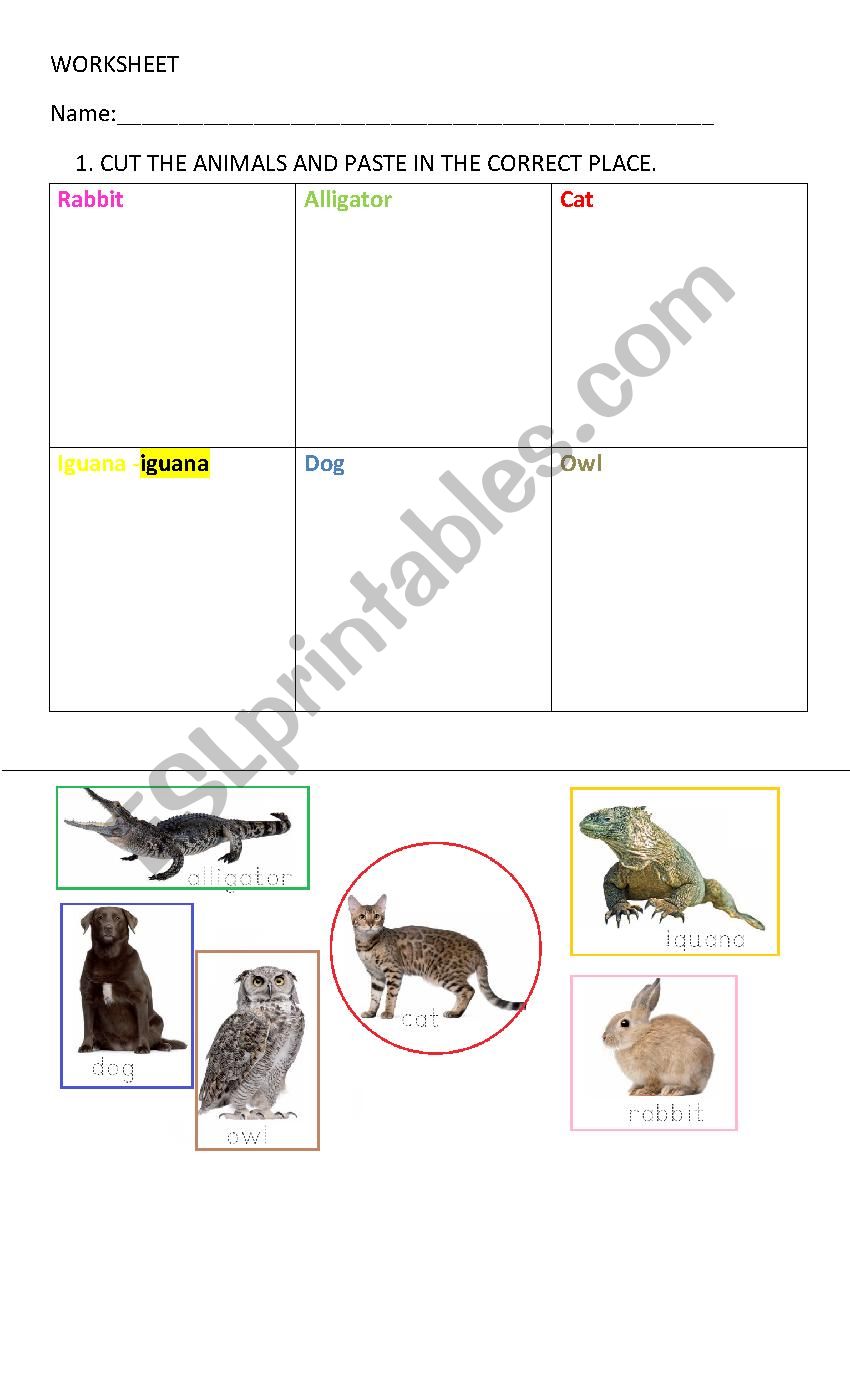 animals worksheet