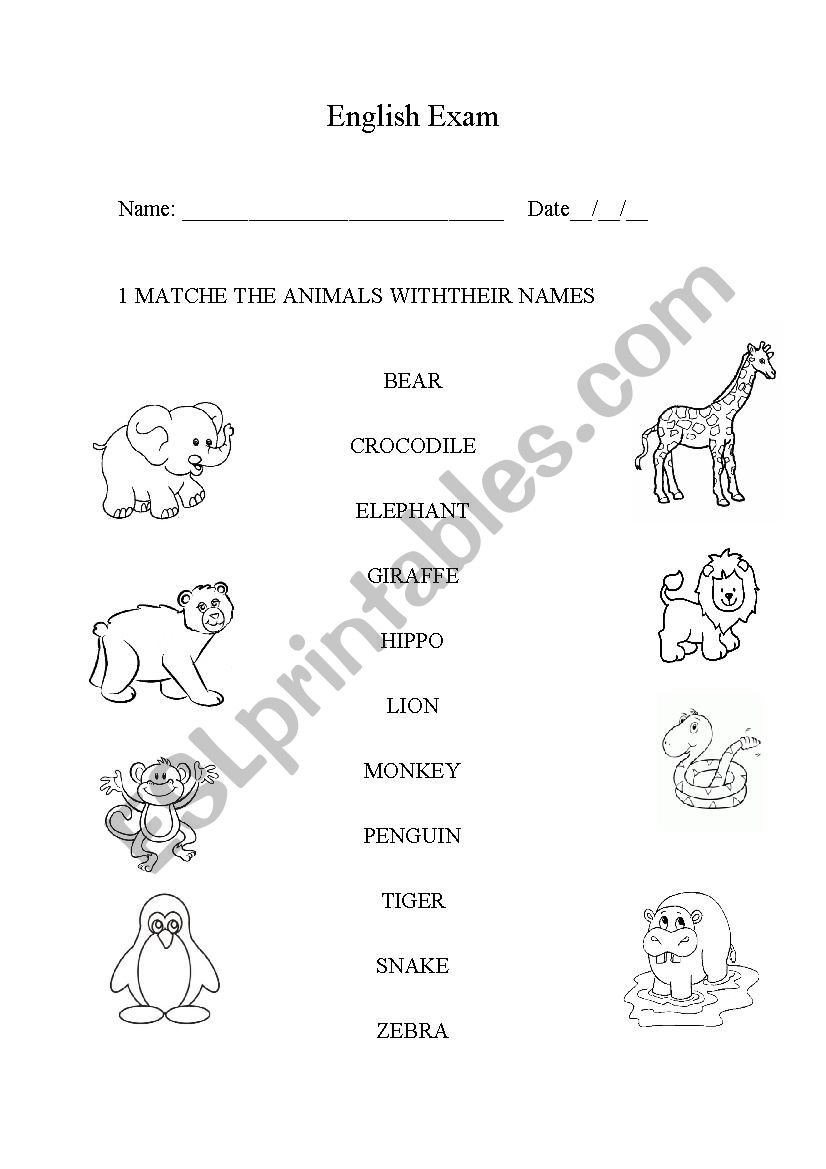 Match the zoo animals with their name - ESL worksheet by Lúthien_Sz