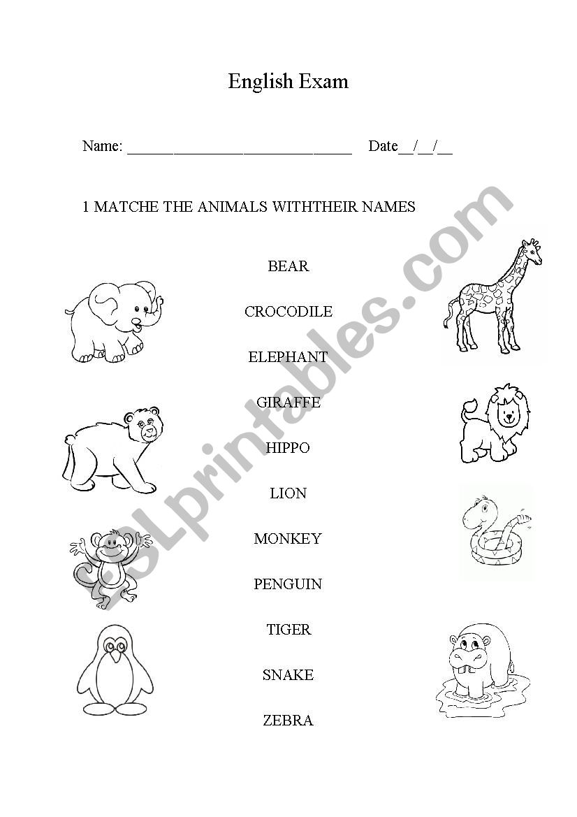 Match the zoo animals with their name