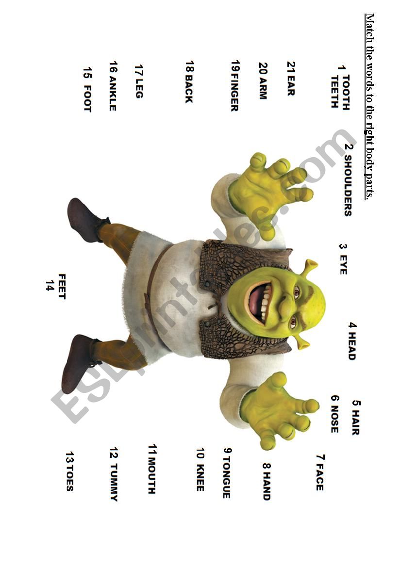 BODY PARTS OF THE SHREK worksheet