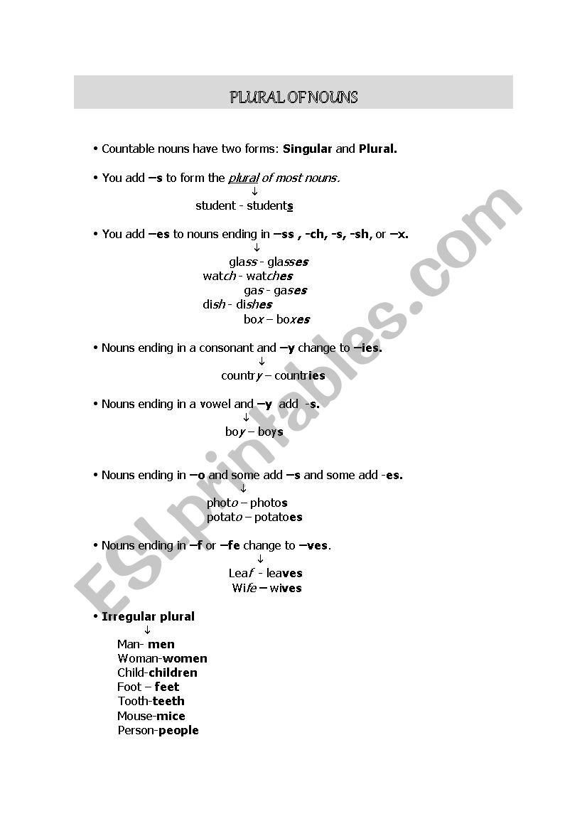 Plural worksheet