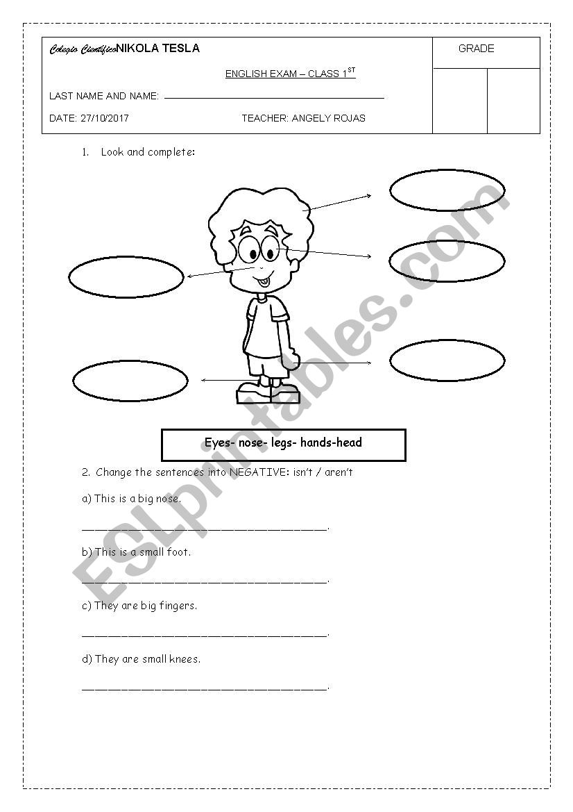 Test  1st Grade worksheet