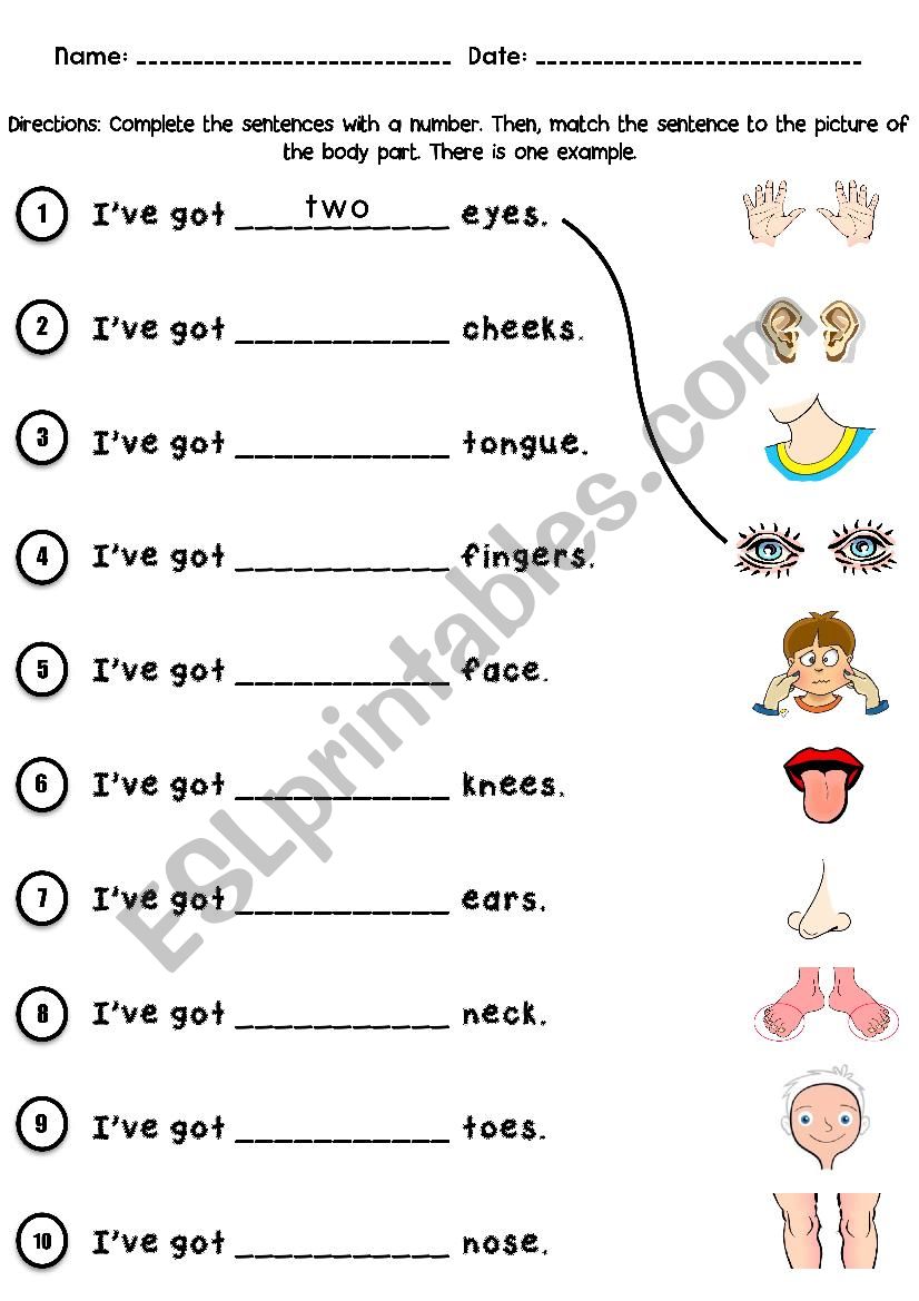 Body Parts I Ve Got How Many Esl Worksheet By Al295801