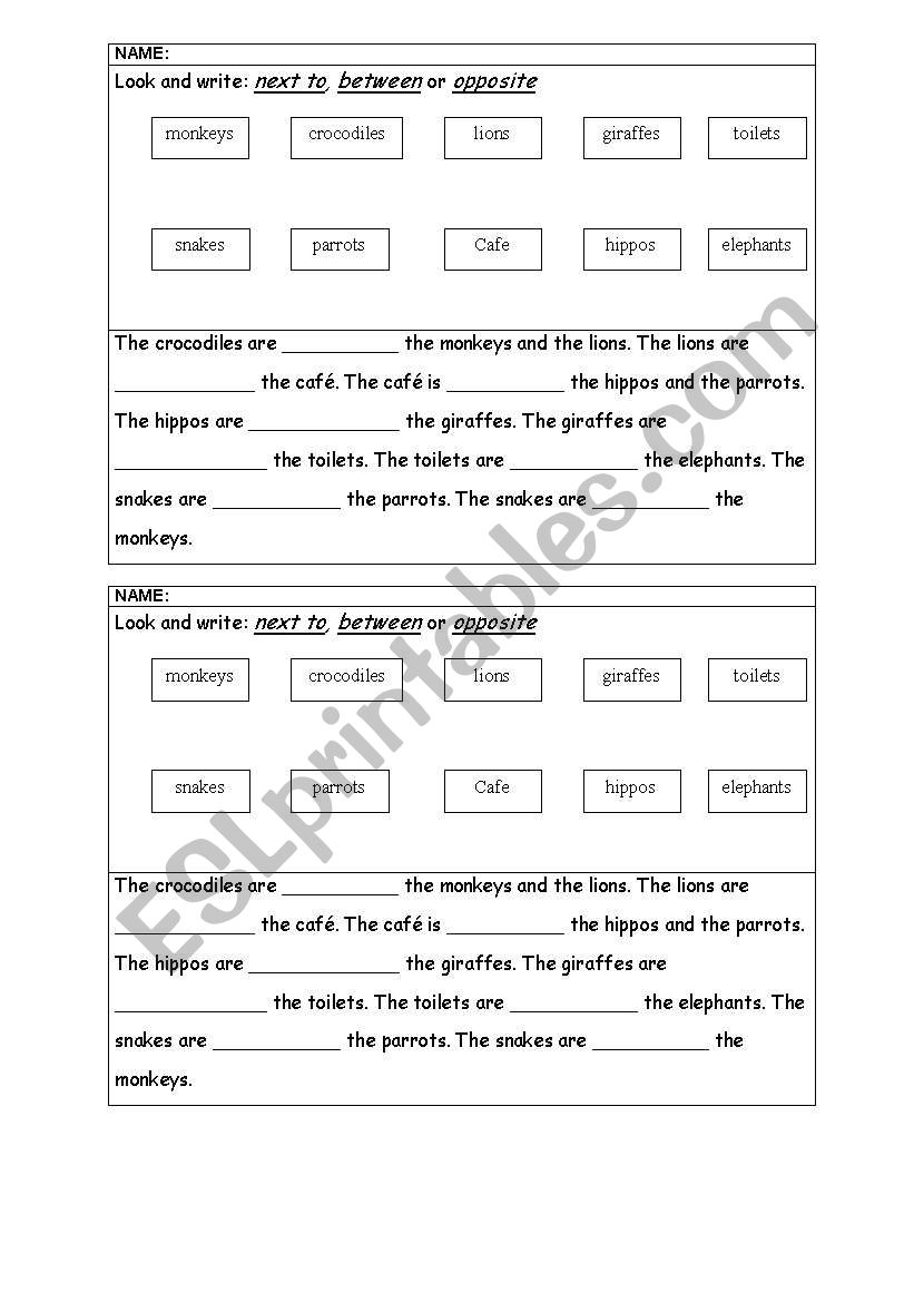 At the zoo worksheet