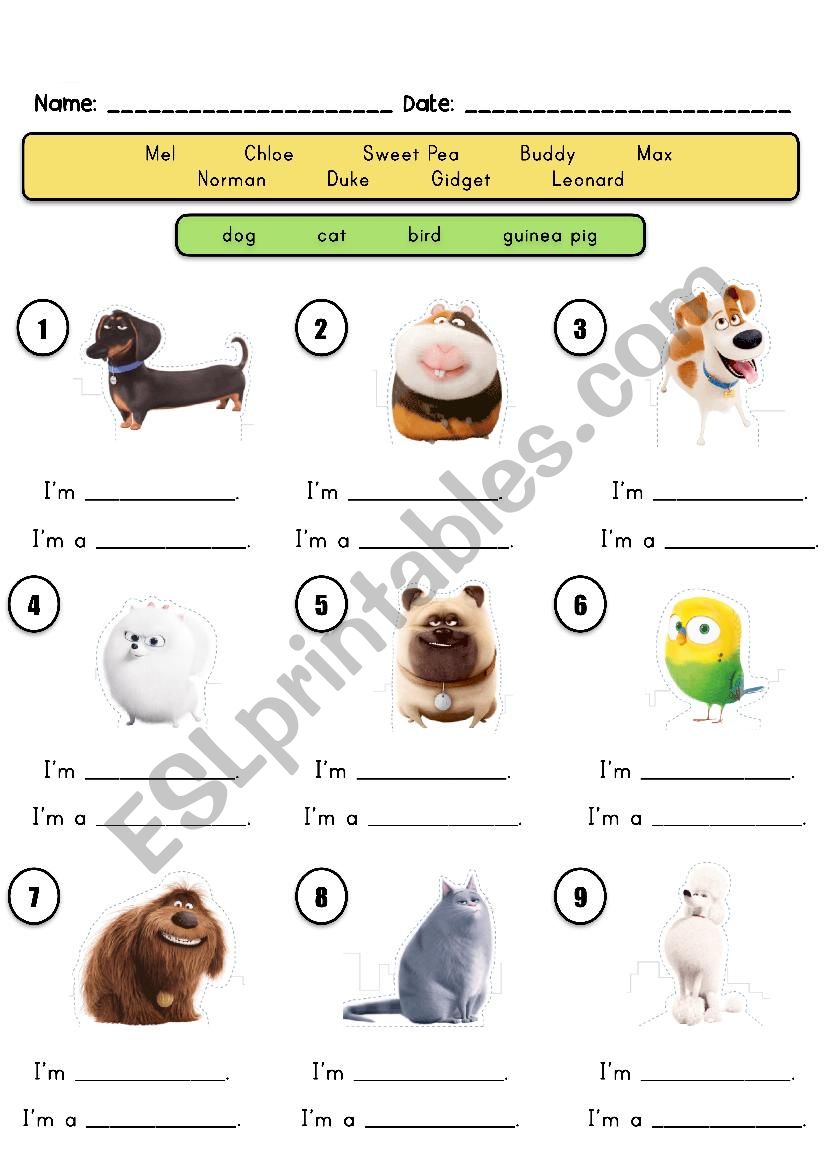 Secret Life of Pets worksheet