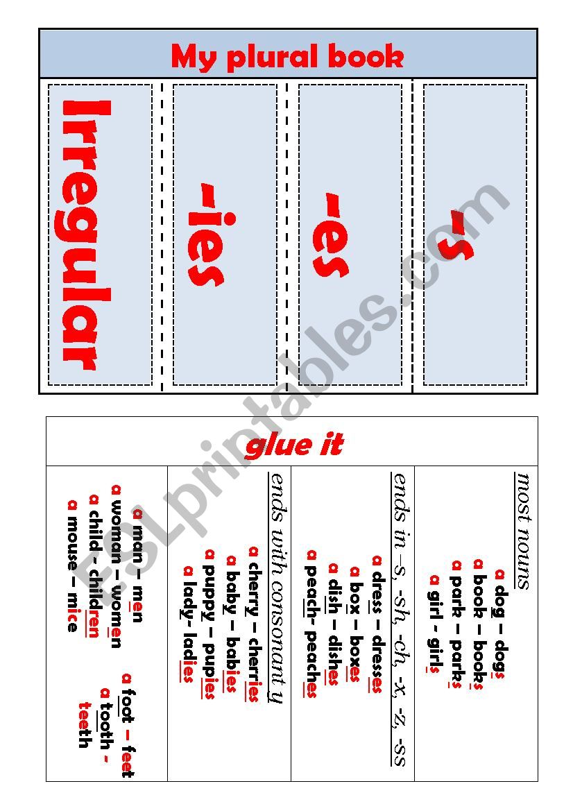 My plural book worksheet