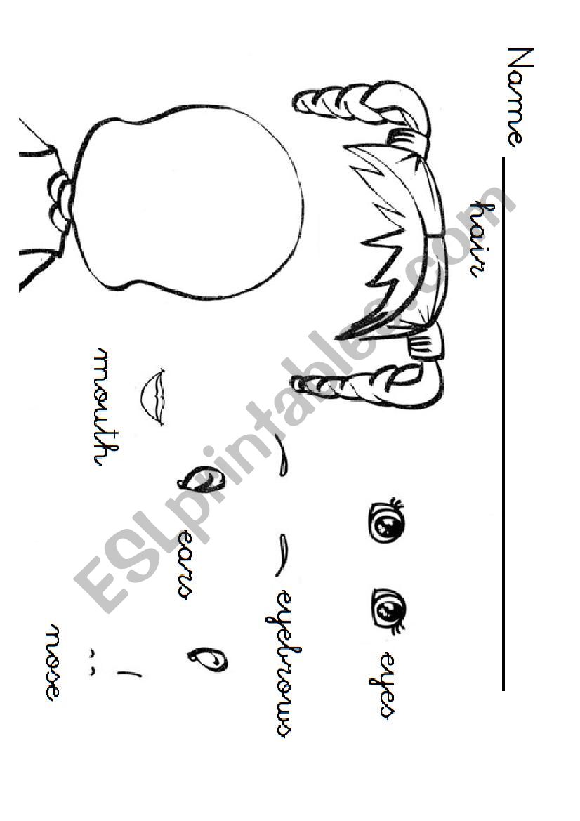 The face worksheet