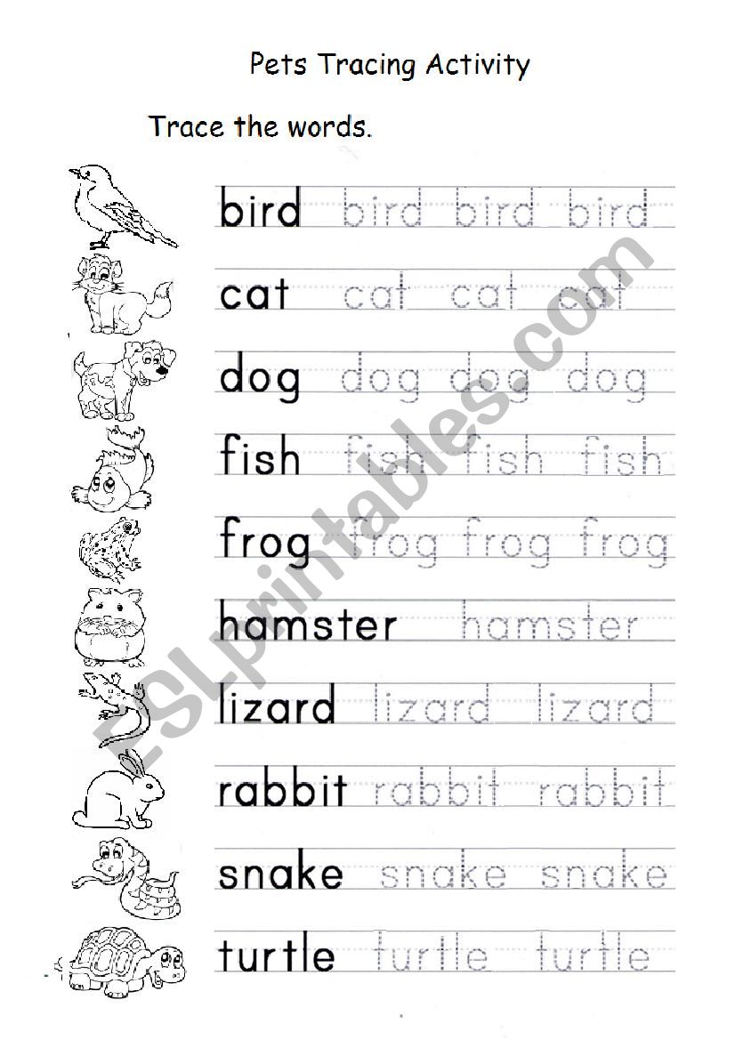 Pets tracing activity worksheet