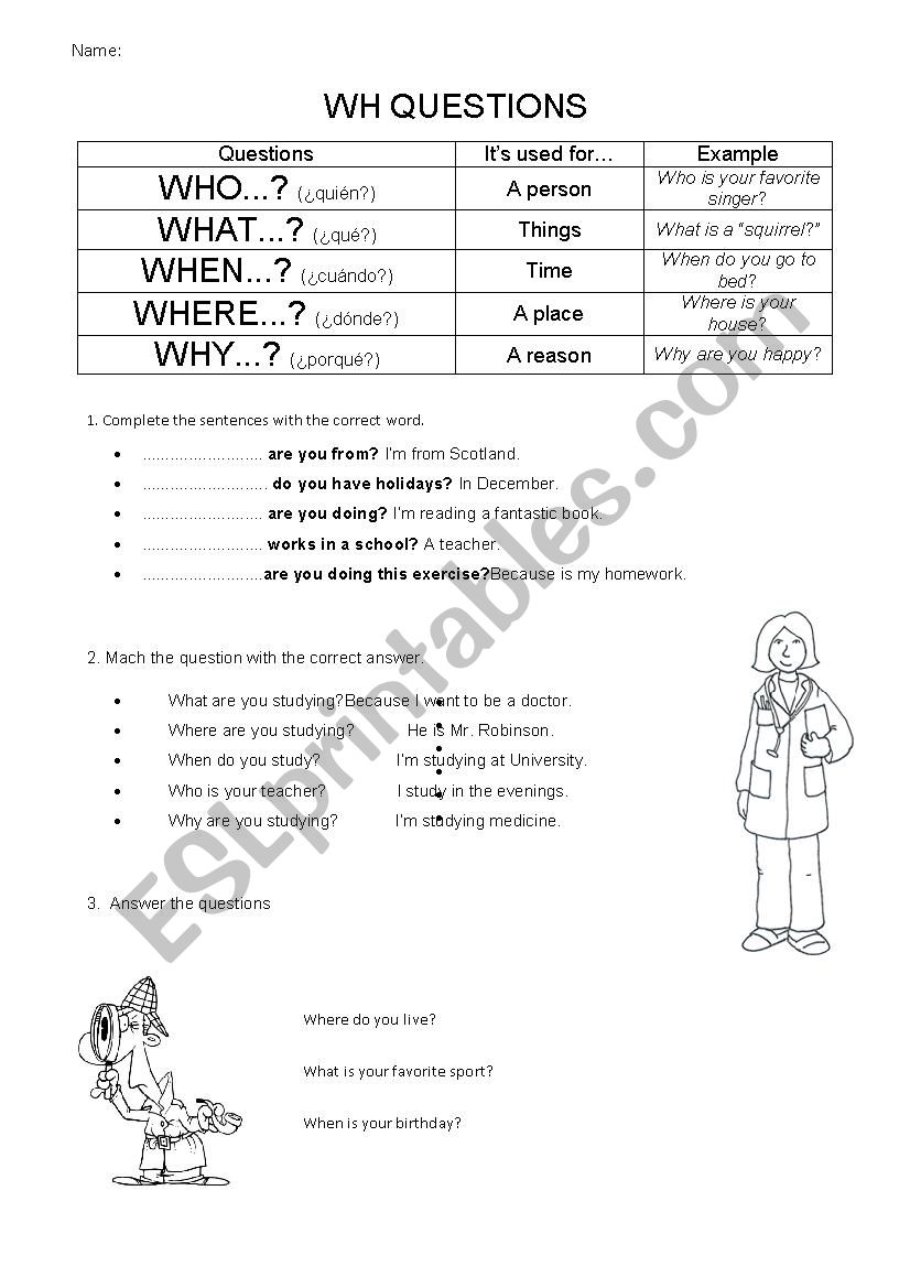 Wh questions worksheet