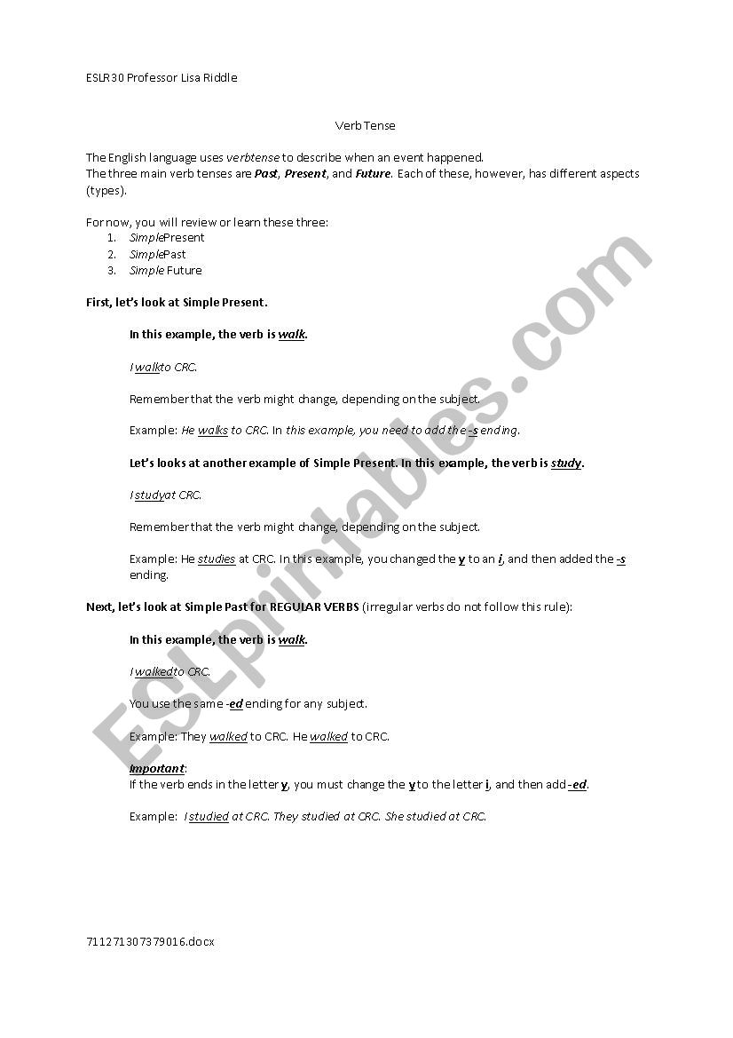 Simple Present Past Future worksheet