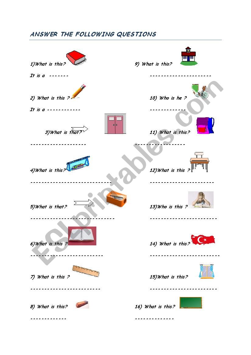 worksheet worksheet