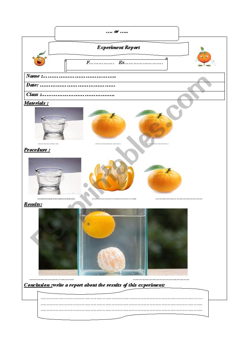 sink or float worksheet