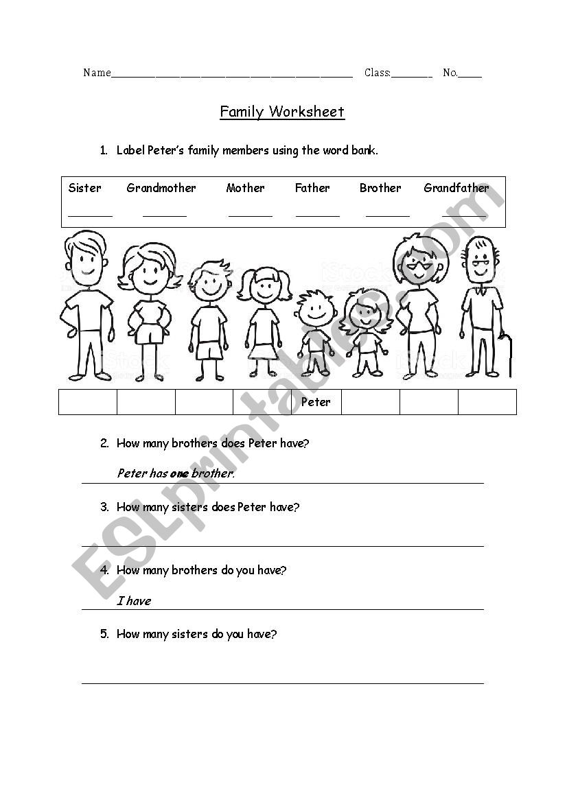 Family Worksheet worksheet