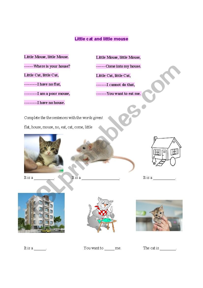 Little cat and little mouse worksheet