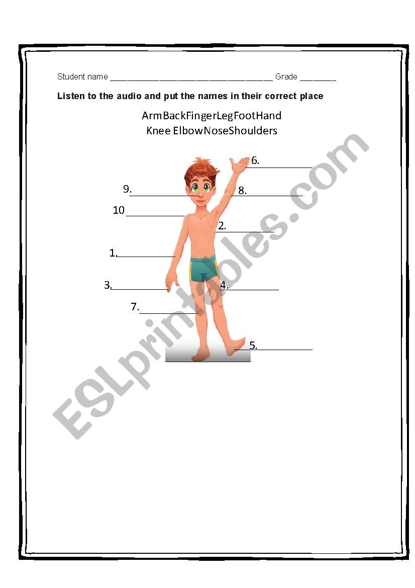 body parts worksheet