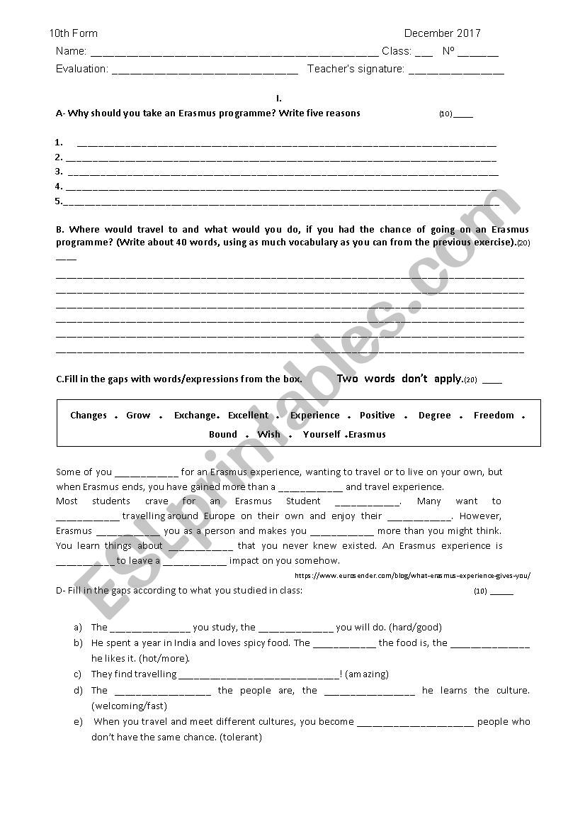 My erasmus experience worksheet