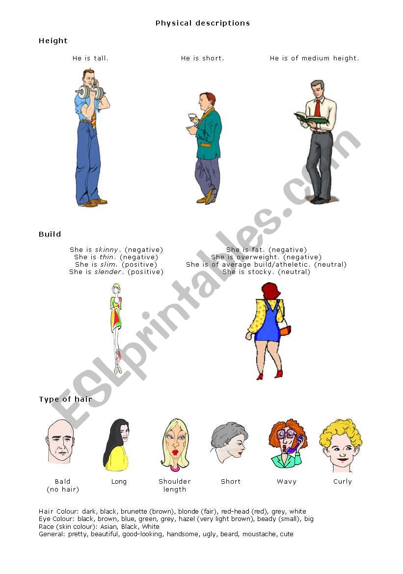 Physical descriptions worksheet