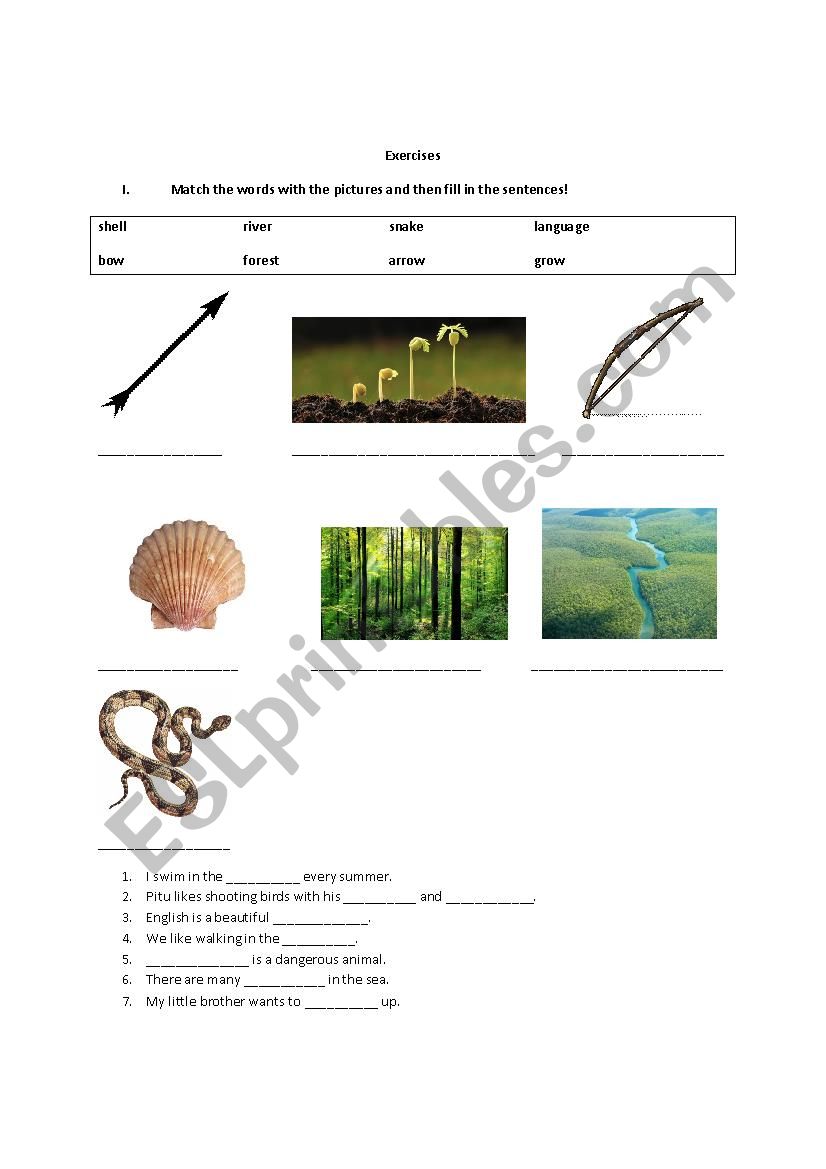 Vocabulary exercise worksheet