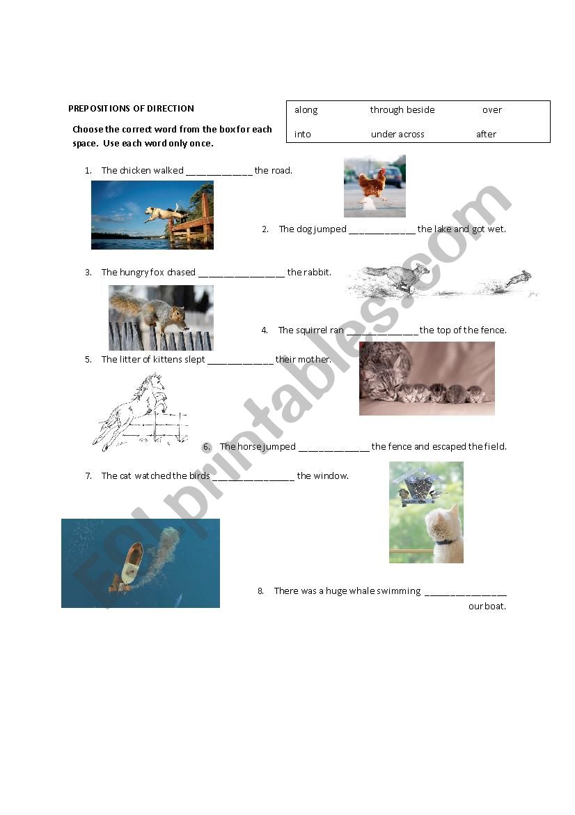 Prepositions of Direction worksheet