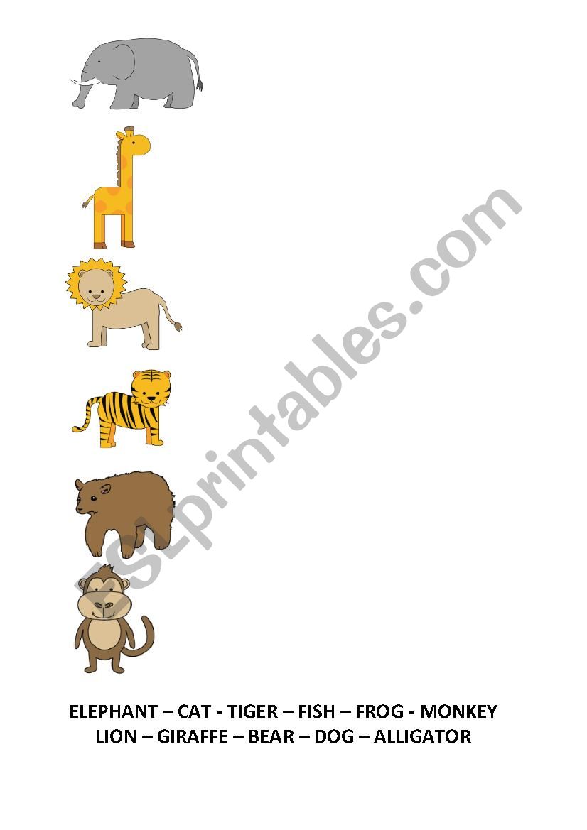 wild animals activity kindergarden