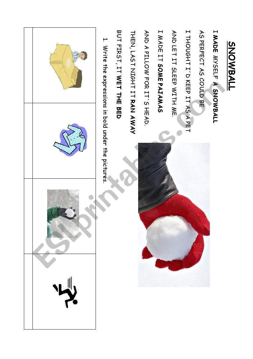 SNOWBALL POEM worksheet