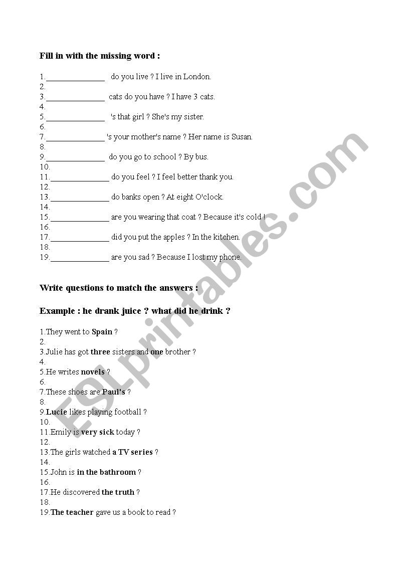 Wh questions worksheet