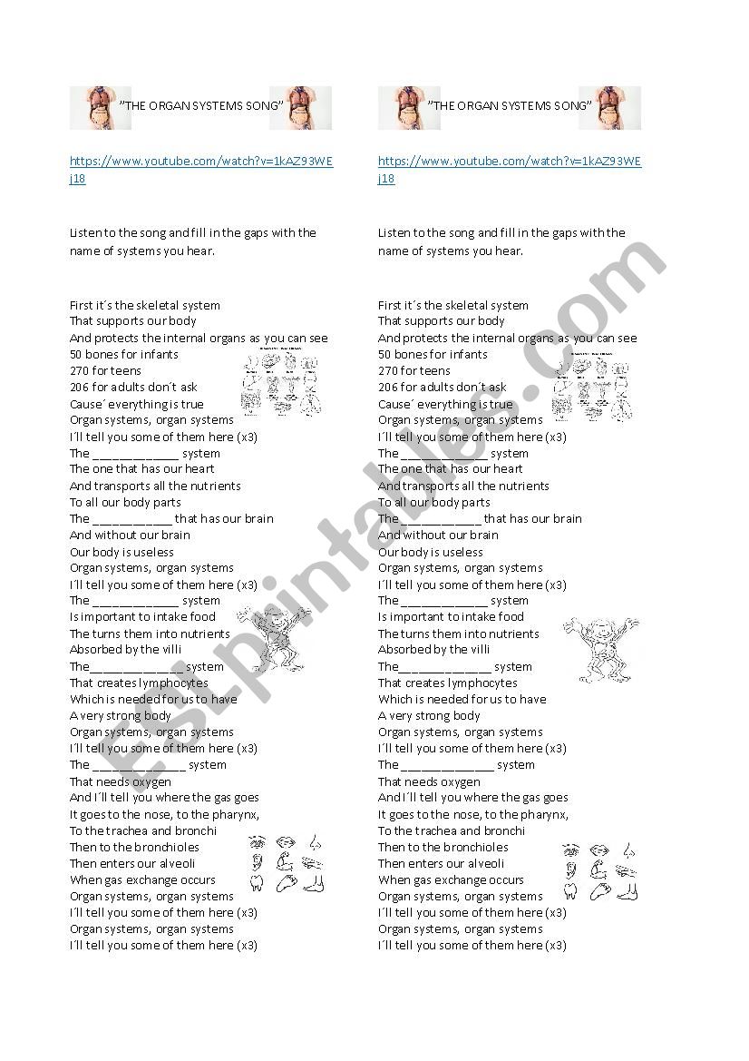 The Organ Systems Song worksheet