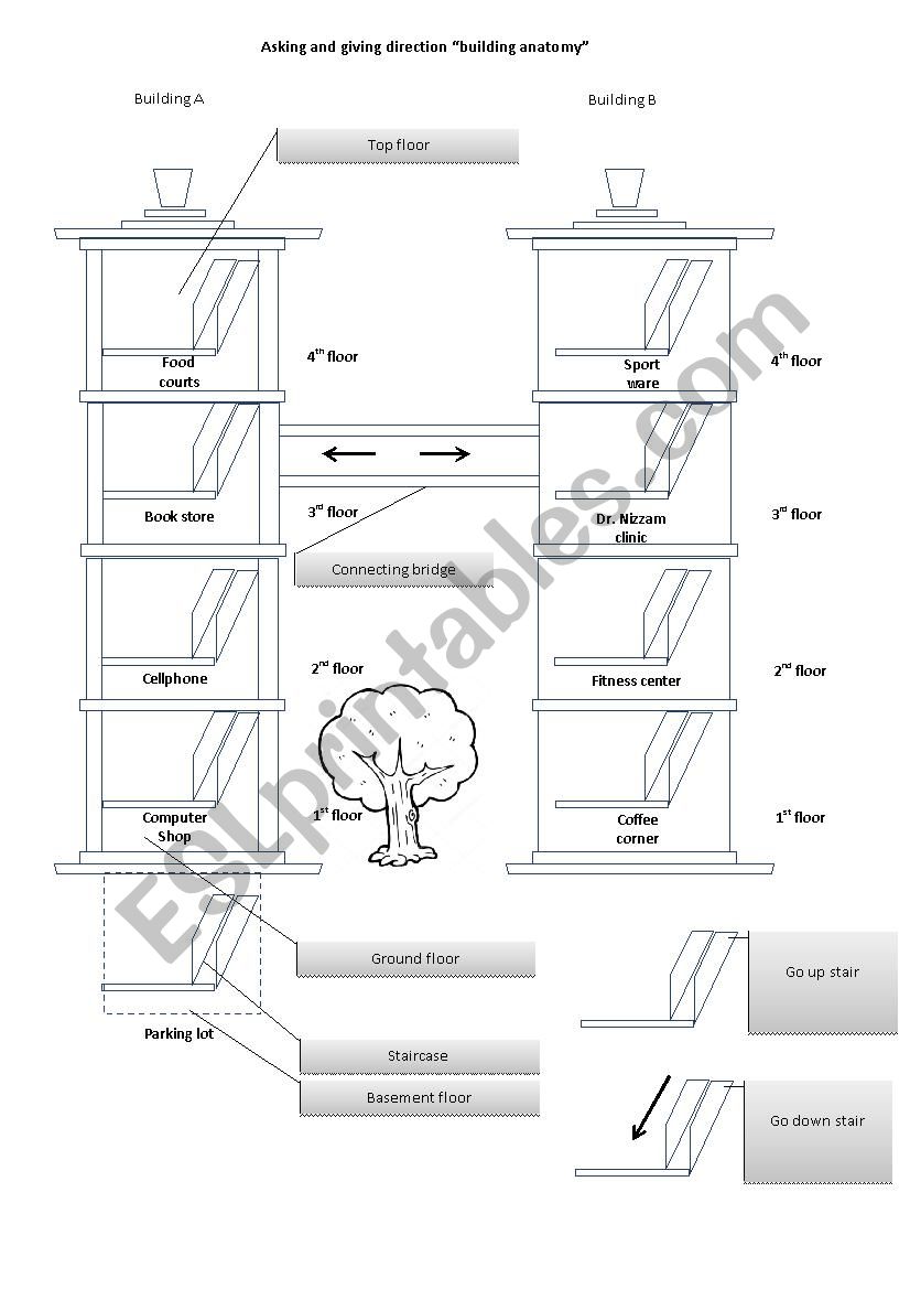 Asking direction building anatomy