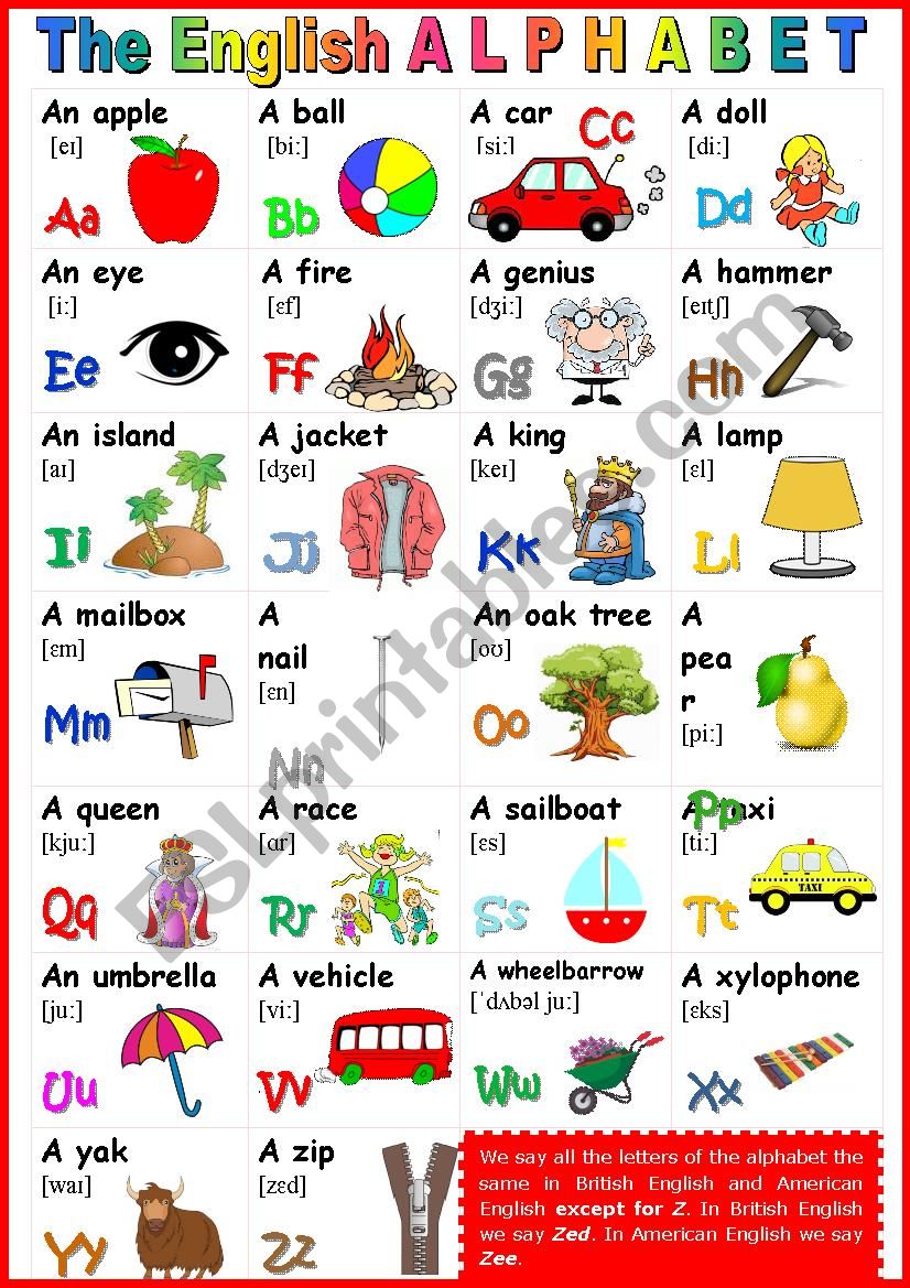 The English Alphabet. POSTER 1 