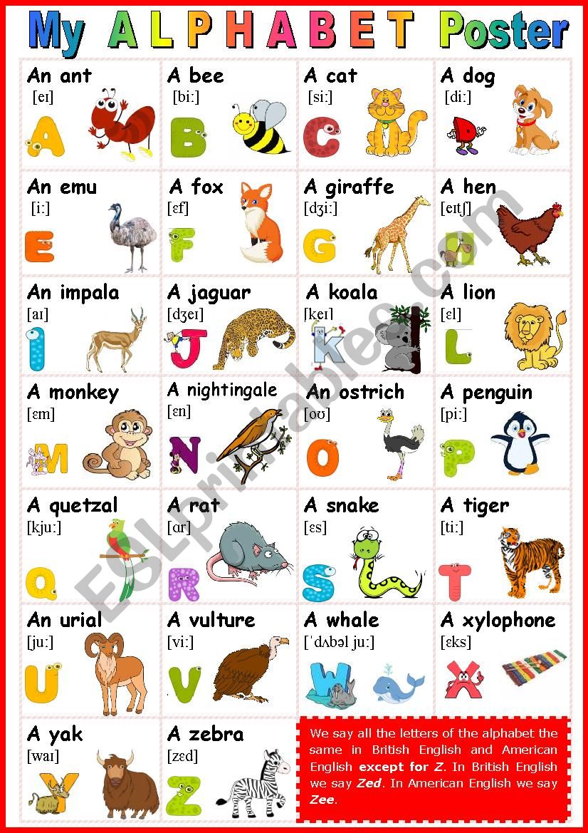 My  ALPHABET POSTER 2   worksheet