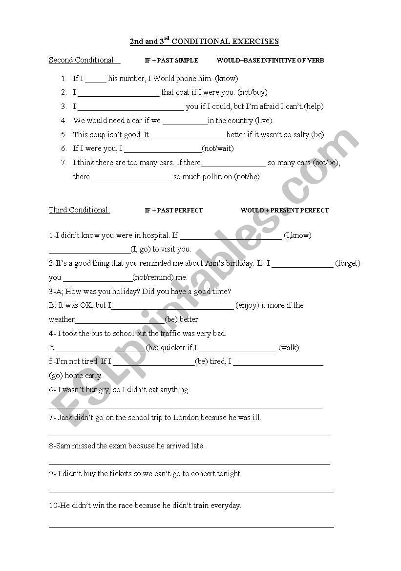 Conditional Exercises worksheet
