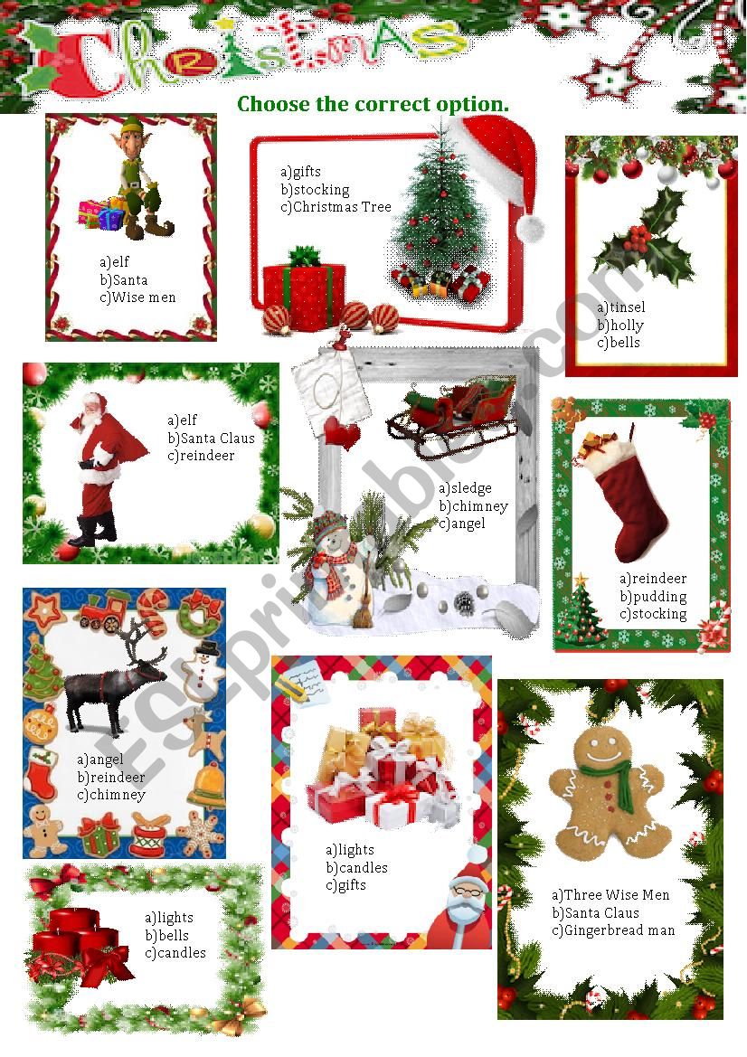 Cristmas Vocabulary worksheet