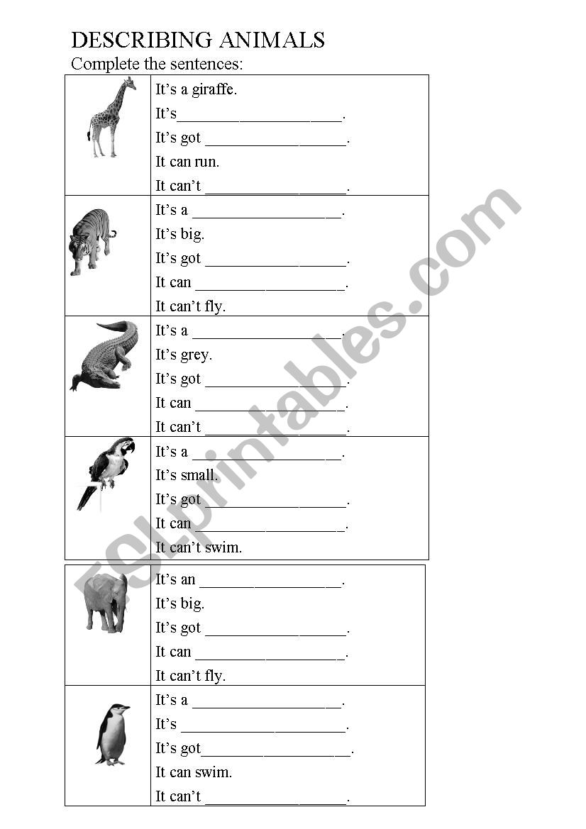 Describing animals worksheet