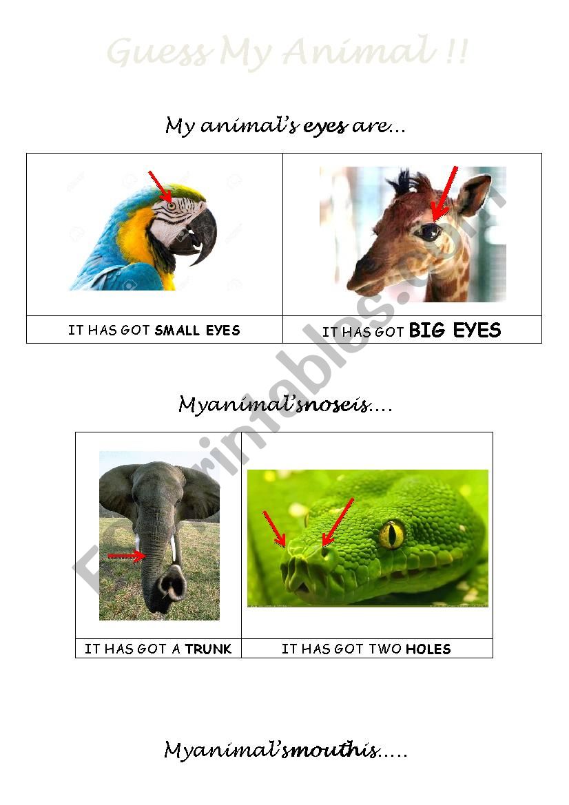 Guess the animal (saying the body parts)