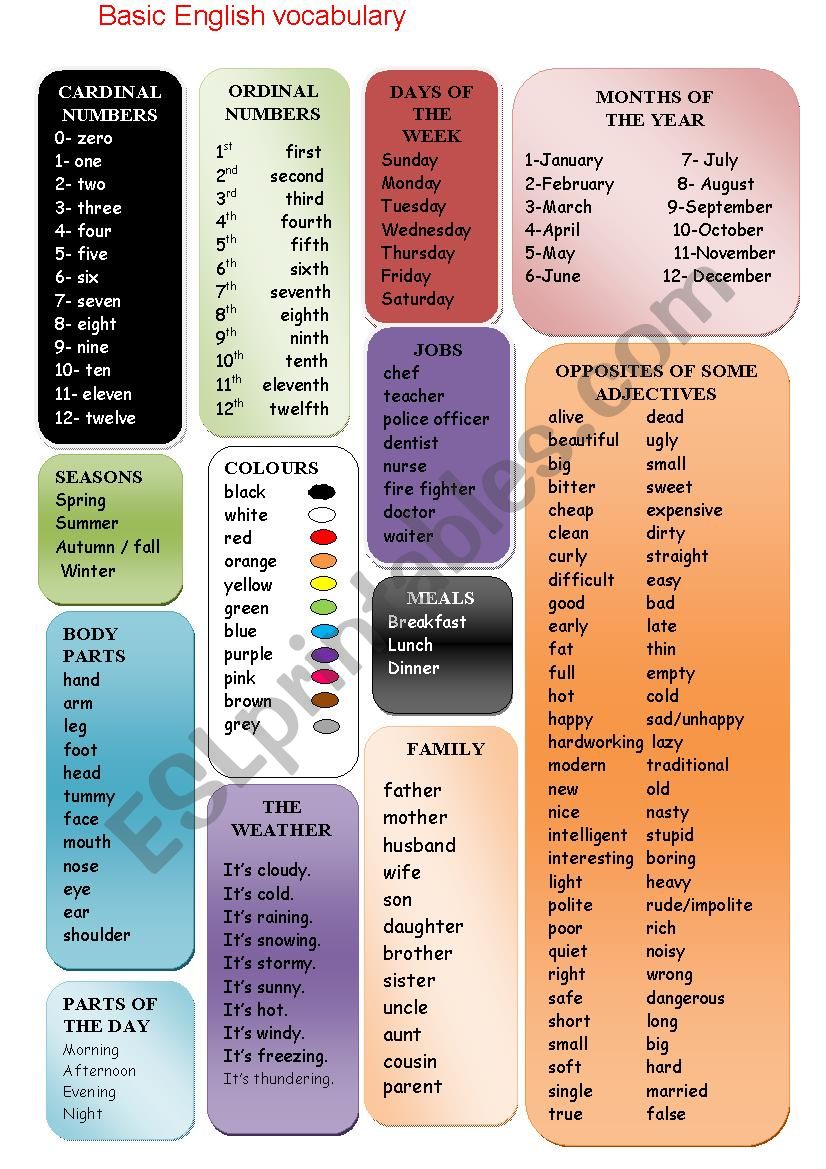 Basic English Vocabulary ESL Worksheet By Chefmot1