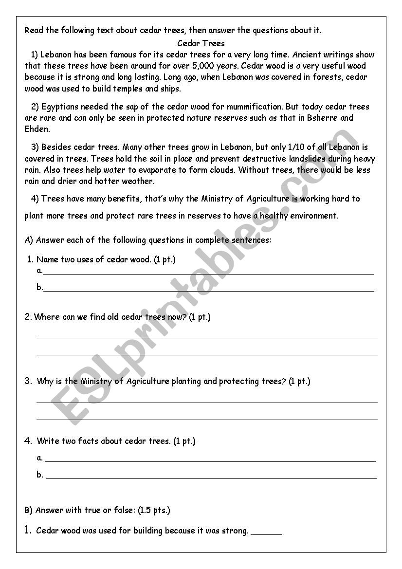 cedar trees worksheet