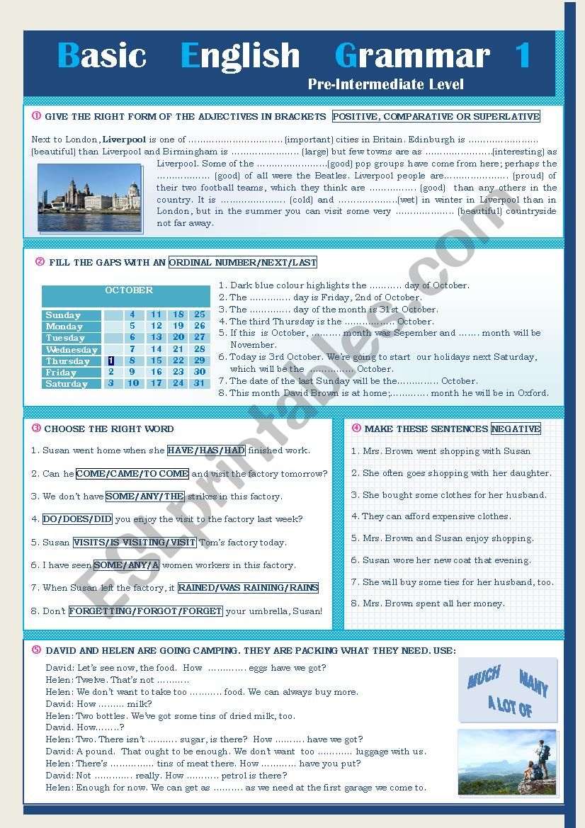 BASIC ENGLISH GRAMMAR 1 worksheet