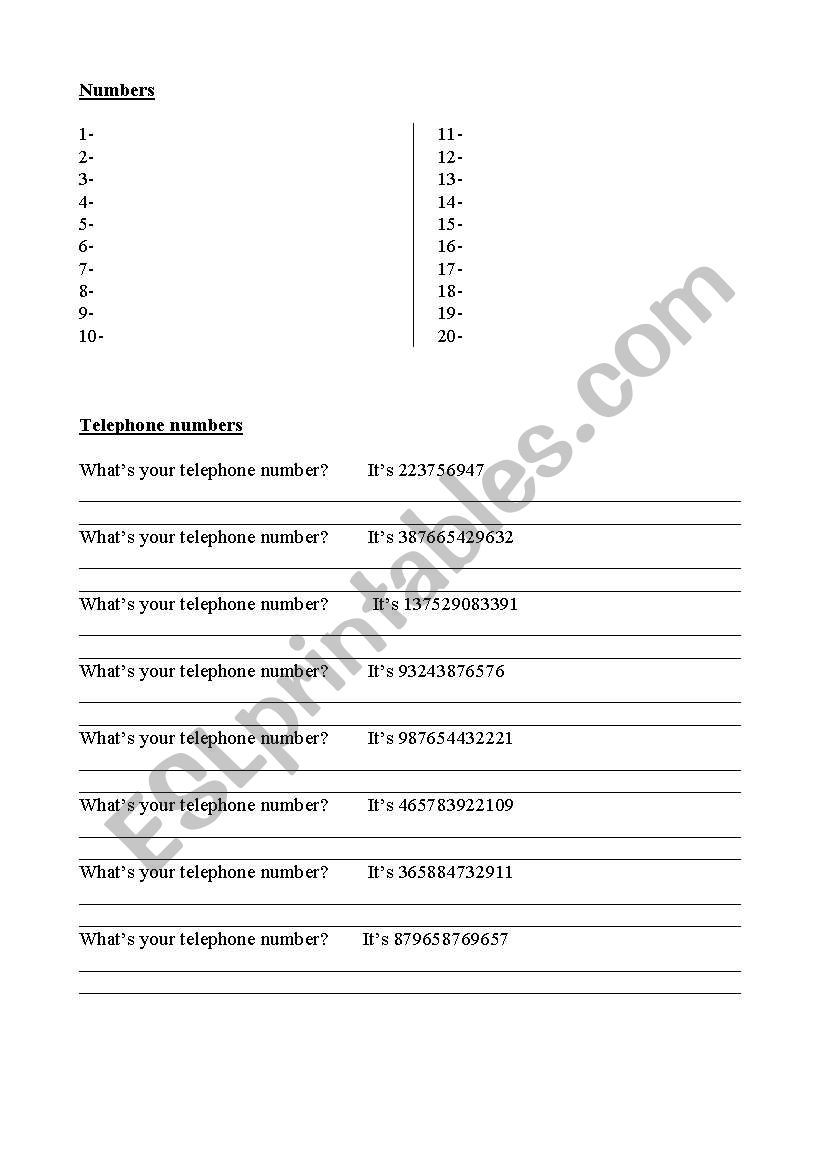 Numbers worksheet