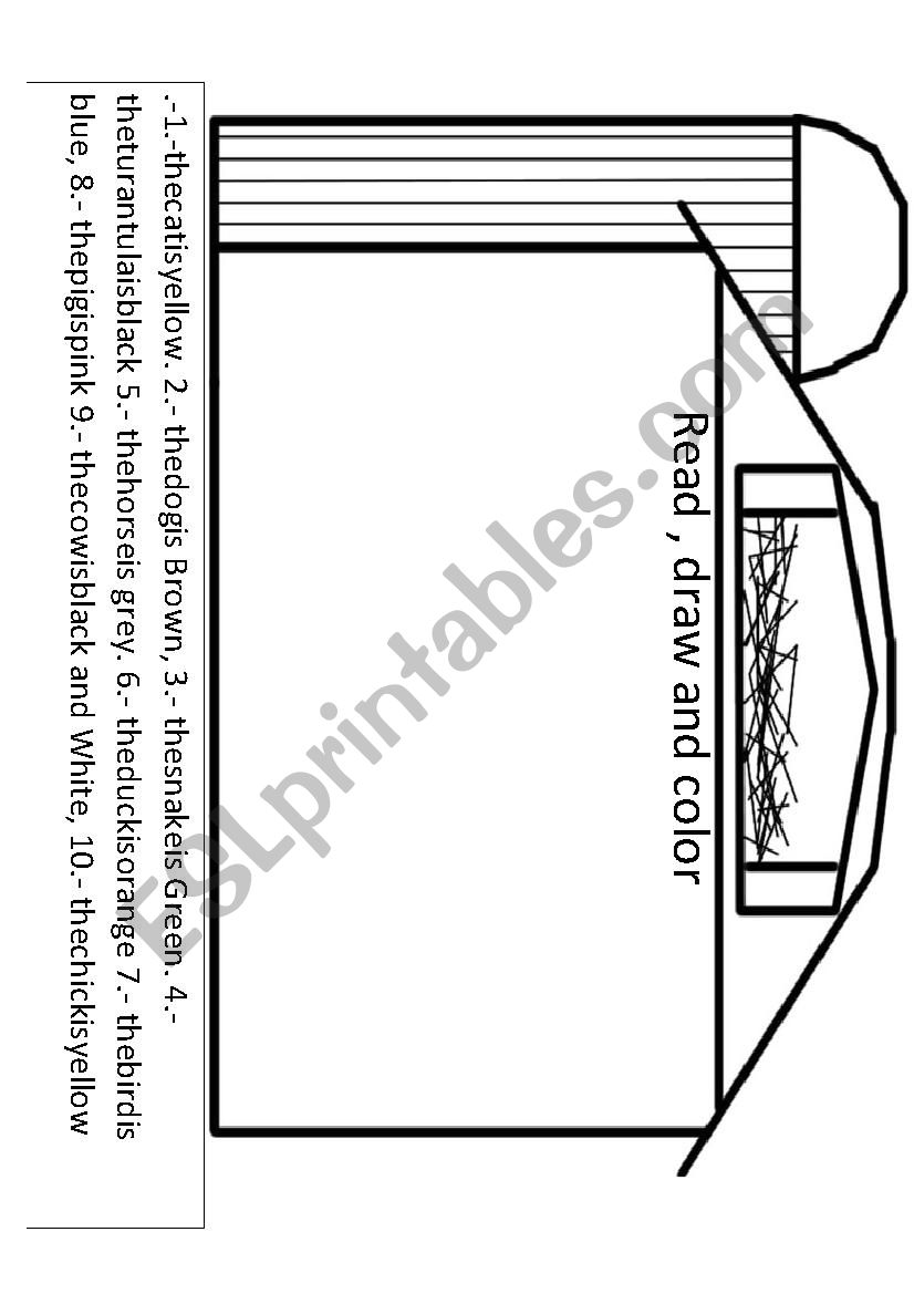 animals worksheet